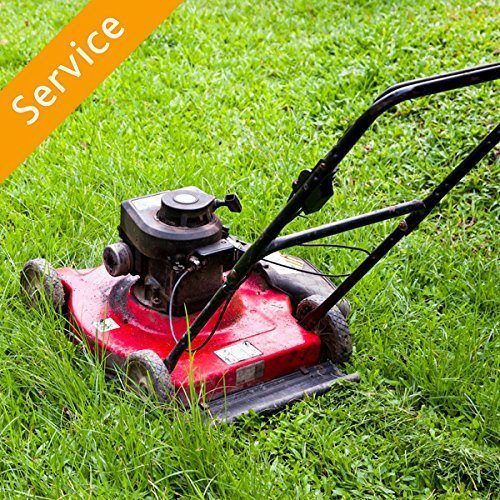 Lawn Mowing -With Edging – Small Lawn (less than 5,000 sq ft)